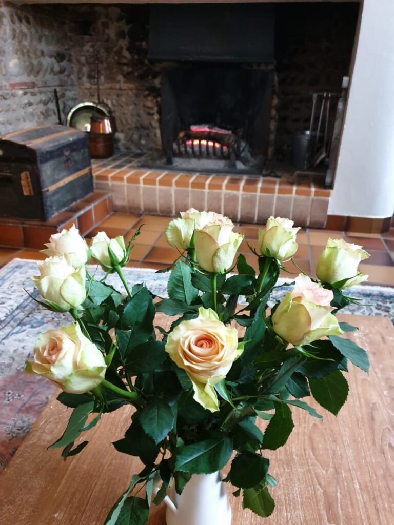 Salon avec cheminée à la Maison du Poêlon